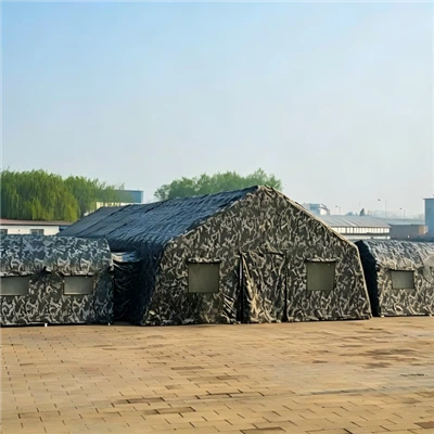 Militaire basistent
